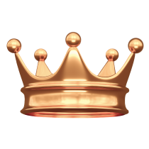 Dedicated VIP service